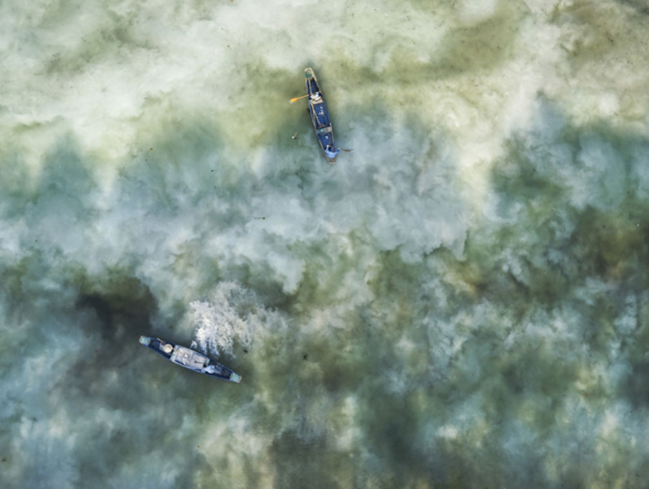 水產(chǎn)養(yǎng)殖常用的清塘方法，你用過(guò)哪種？